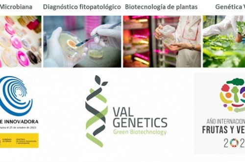 ValGenetics, un ejemplo de transferencia en investigación agrícola, en el Focus Pyme y Emprendimiento Agrofood