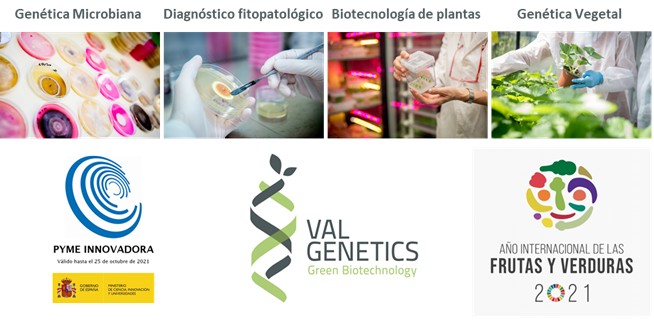 ValGenetics, un ejemplo de transferencia en investigación agrícola, en el Focus Pyme y Emprendimiento Agrofood