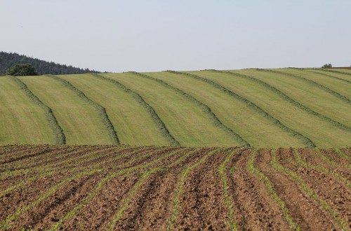 El valor de la tierra de secano sube un 1,7% y en regadío el 2,8% desde 2018