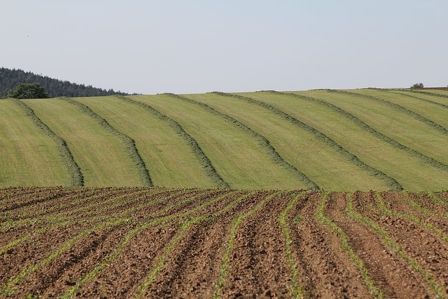 Las siembras de los cultivos de otoño-invierno avanzan en buenas condiciones en la mayor parte de Europa