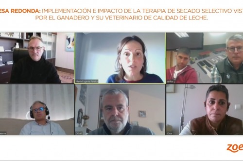 Zoetis muestra tres casos de éxito de la Terapia de Secado Selectivo