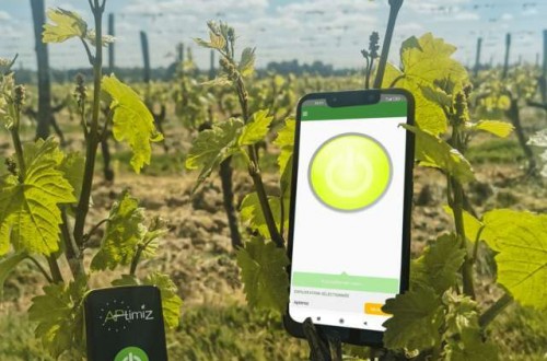 Ocho start-ups que van a revolucionar el sector agrario y que no te puedes perder en Sitevi