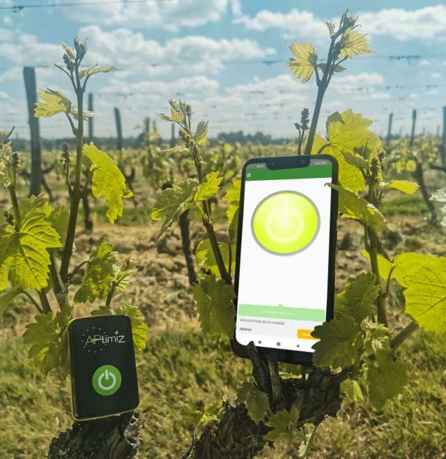 Ocho start-ups que van a revolucionar el sector agrario y que no te puedes perder en Sitevi