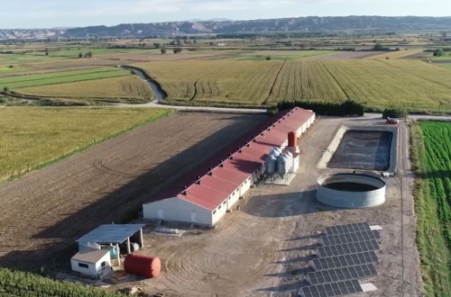 Trouw Nutrition, Inga Food y Nanta celebran la finalización del primer estudio porcino en la granja de validación Arruego