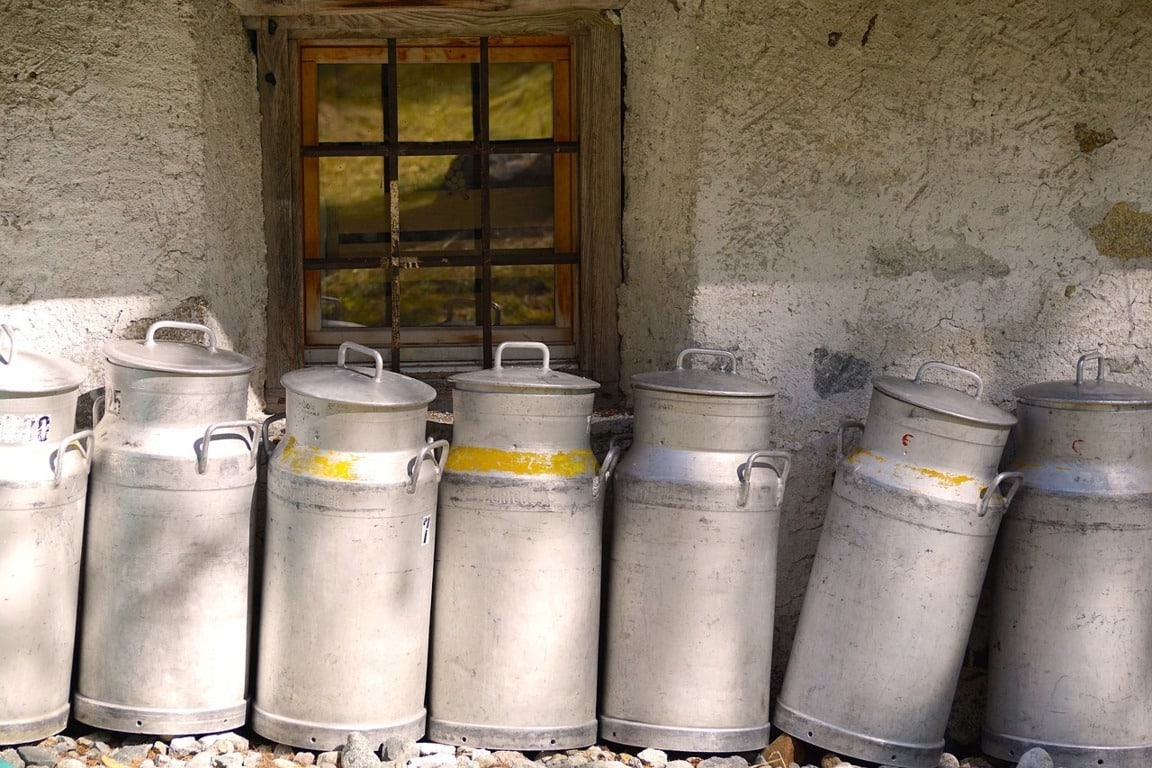 El Tribunal Supremo avala la obligación de que el precio en origen de la leche cubra los costes
