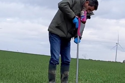 Syngenta lanza Ratron GL para el control del topillo en cereal