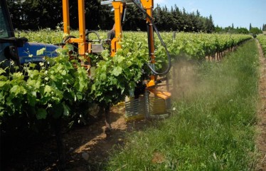 Maquinaria y equipos para la poda mecanizada en el viñedo