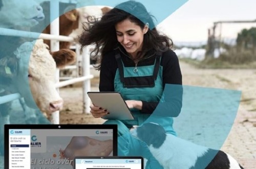 Calier lanza una formación en 3D para optimizar la reproducción bovina