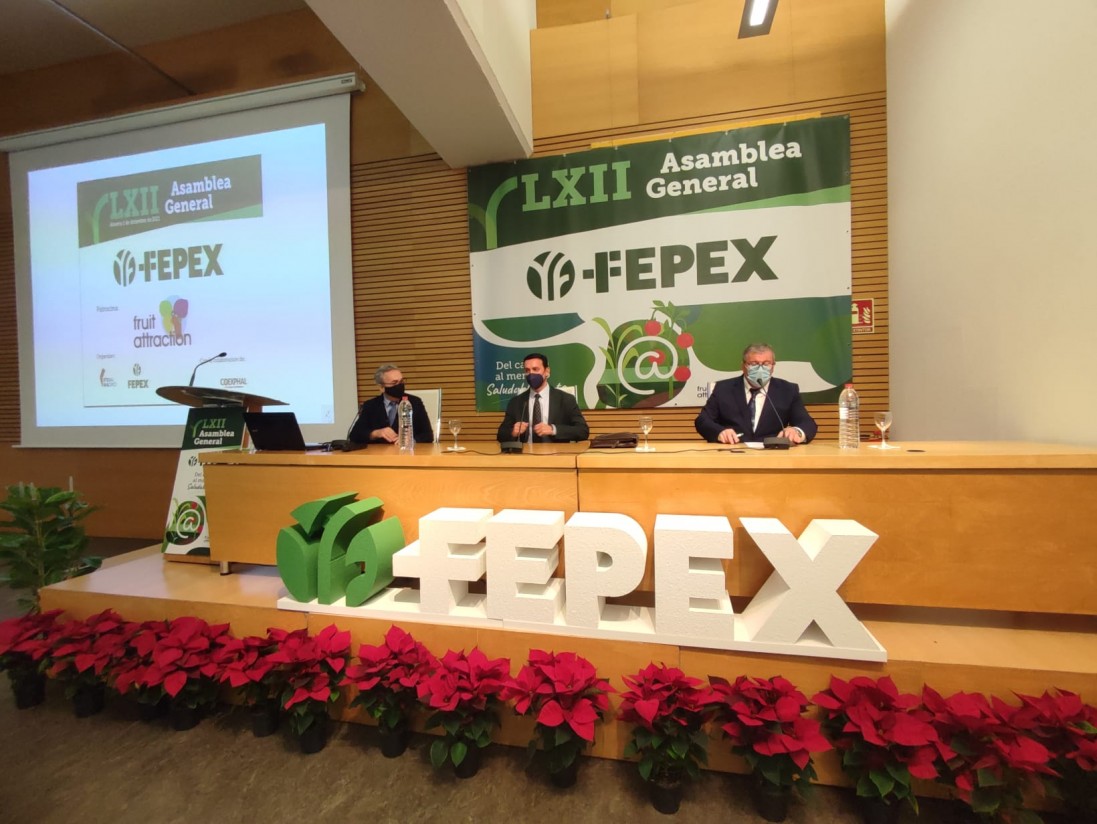 FEPEX expone los retos del sector hortofrutícola para 2022 en su LXII Asamblea General