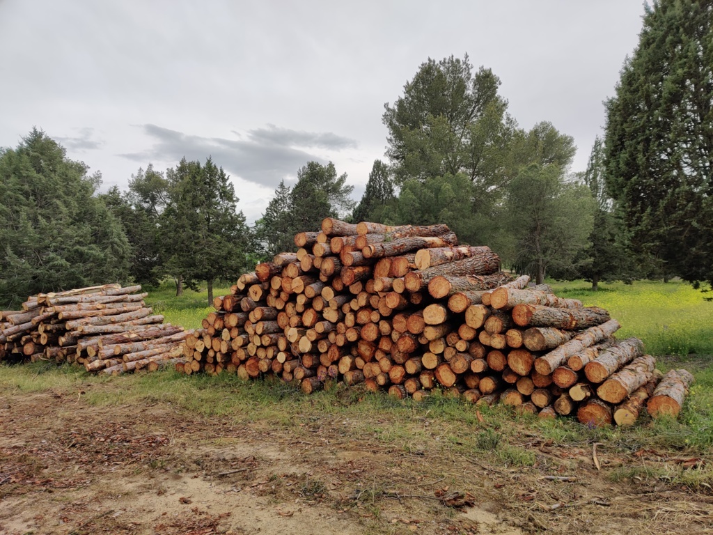 La CE propone reforzar la protección del medio ambiente mediante derecho penal