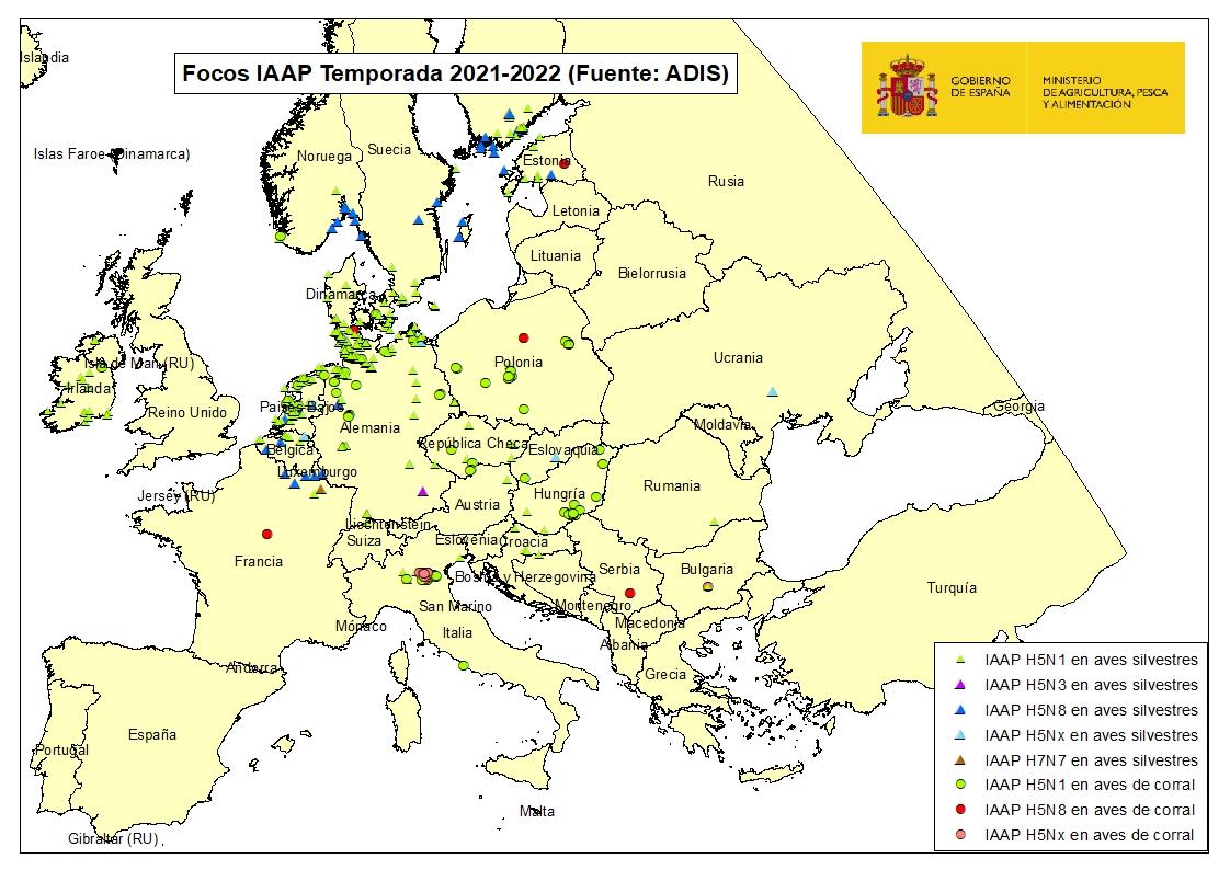 El MAPA reclama estrechar las medidas de bioseguridad ante la expansión de la «gripe aviar» en Europa