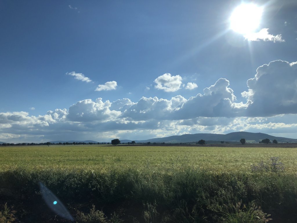 El coste de los insumos se «comió» casi un 95% de la renta agraria de 2021