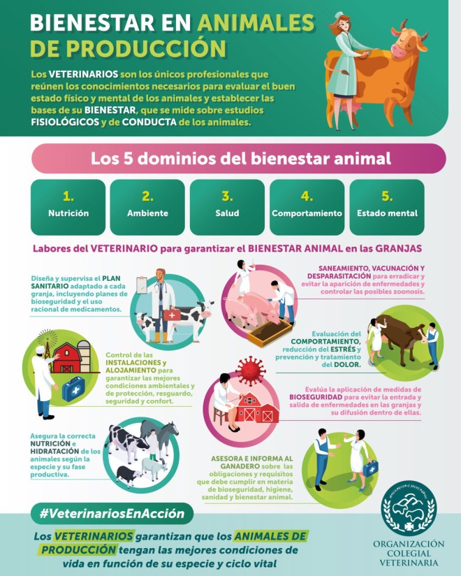 La OCV recuerda que el bienestar animal es una ciencia basada en criterios técnicos y objetivos