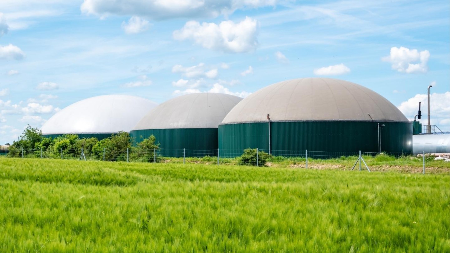 El Miterd abre audiencia pública sobre la normativa de ayudas para instalaciones de biogás