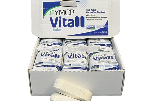Elanco incorpora YMCP Vitall a su programa The Vital 90 Days
