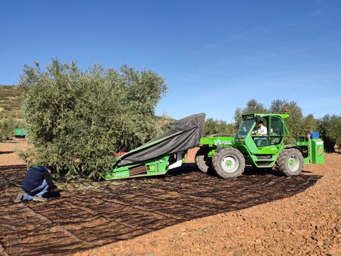 El paro registrado en Agricultura bajó un 20,1% y en 36.552 desempleados en 2021