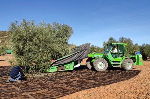 El paro registrado en Agricultura bajó un 20,1% y en 36.552 desempleados en 2021