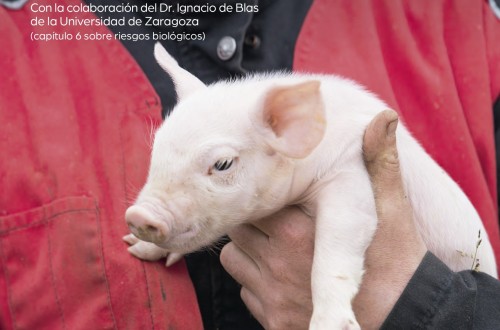 Zoetis presenta el primer Manual de Prevención de  Riesgos Laborales del sector porcino