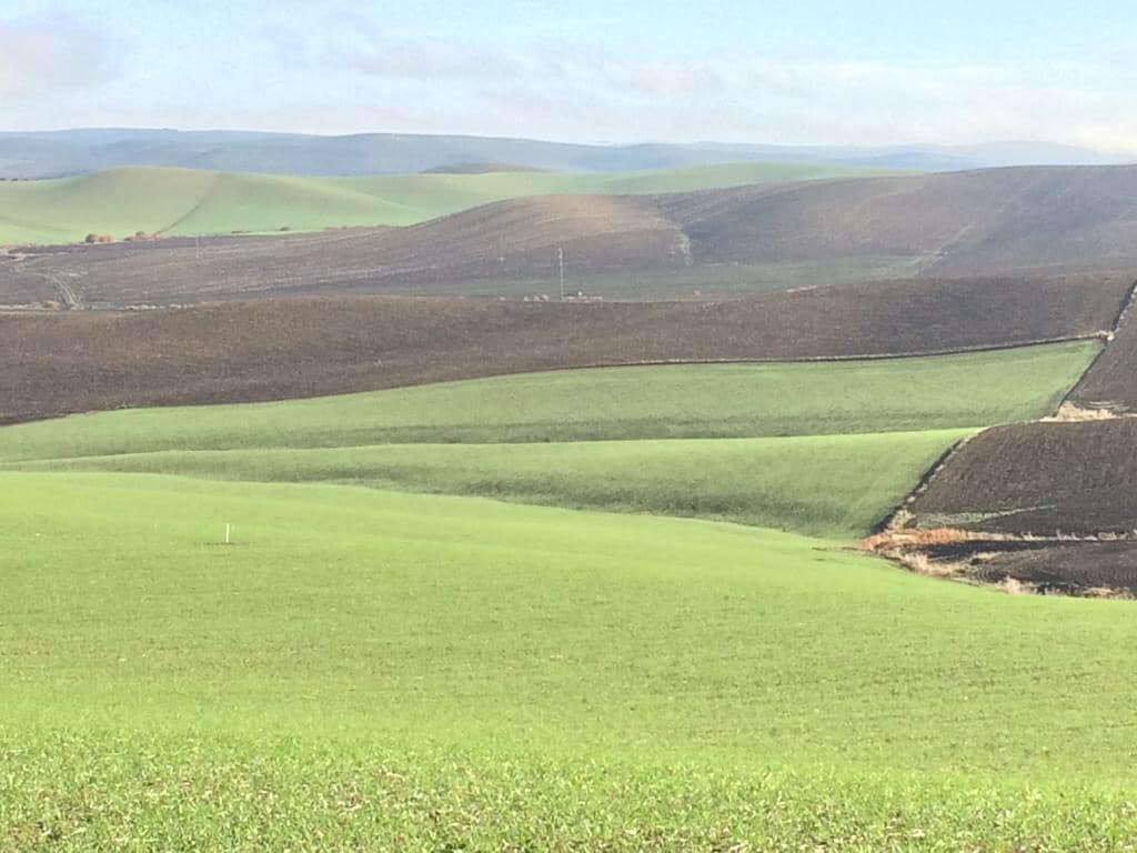 A consulta pública el proyecto de norma del SIEX, el Sistema de Información de Explotaciones Agrarias