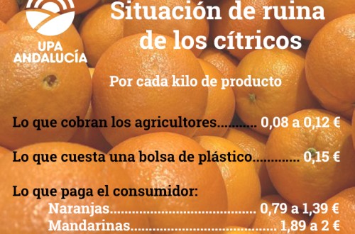 UPA denuncia: una bolsa de plástico del súper más cara que un kilo de naranjas en origen