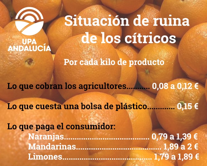 UPA denuncia: una bolsa de plástico del súper más cara que un kilo de naranjas en origen