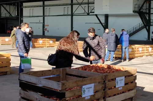 Bejo presenta su nuevo catálogo de cebolla para almacenaje