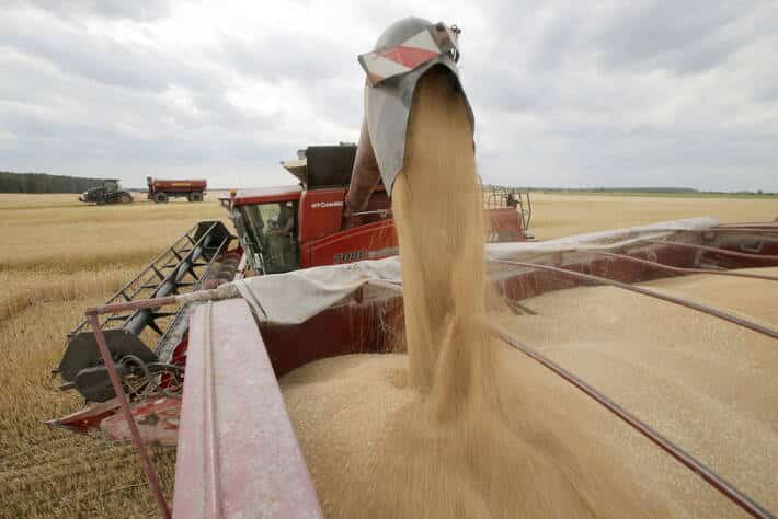 Más stocks de trigo blando en la UE-27 ante el aumento de las importaciones de países terceros