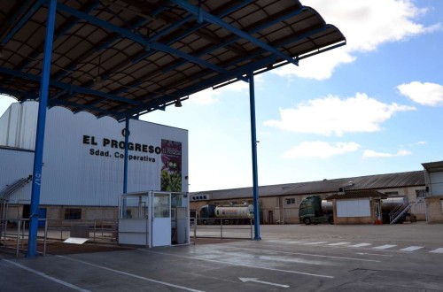 El sector vitivinícola comunitario sigue siendo vulnerable por el alza de costes de las materias primas