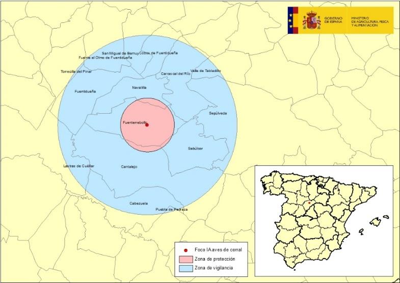 Declarado el primer foco de gripe aviar en España en especies domésticas en una granja de pavos de Segovia