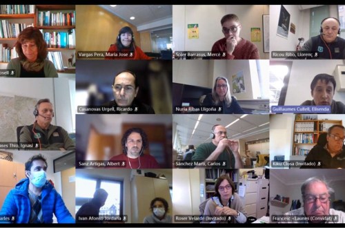 Cataluña acuerda intensificar las medidas de vigilancia contra la Peste Porcina Africana