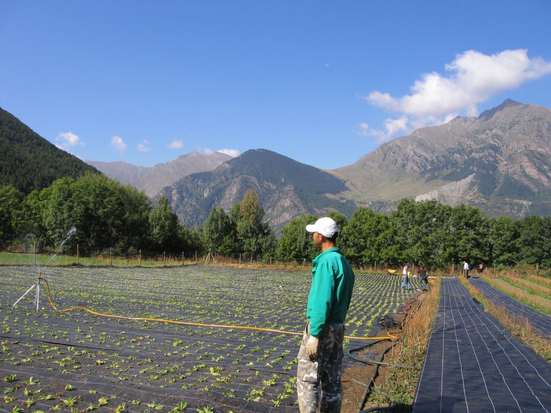 La fuerte subida de precios de los insumos quebró ostensiblemente la Renta Agraria de 2021