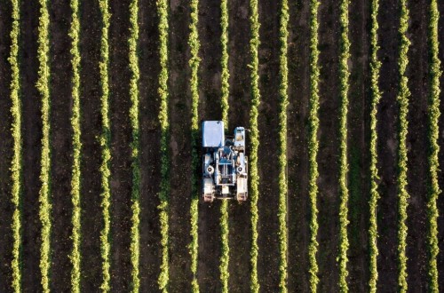 AgroBank adelanta a agricultores y ganaderos las ayudas de la PAC 2022