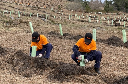 Stihl reforesta 20 hectáreas que ardieron en los incendios de 2017 en Galicia