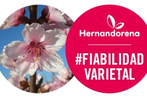 Viveros Hernandorena presenta su sello de Fiabilidad Varietal