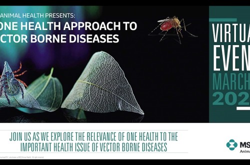 MSD Animal Health organiza la jornada virtual global sobre el enfoque One Health