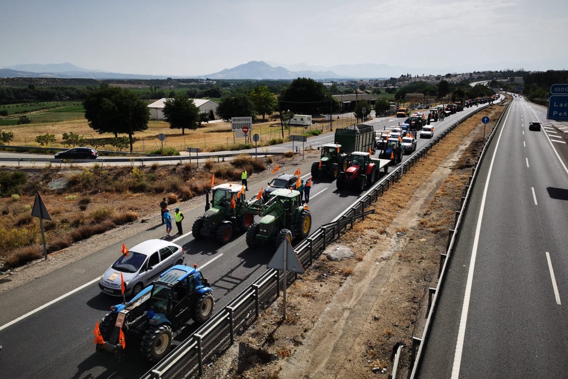 Miles de agricultores y ganaderos de toda Andalucía secundarán mañana un paro agrario