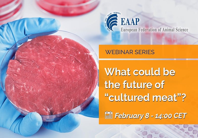 La EAAP celebrará un webinar sobre el futuro de la carne artificial