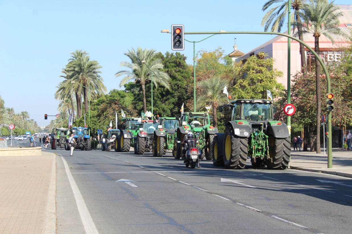 Nuevas manifestaciones mañana del sector agrario murciano y el día 25 del andaluz