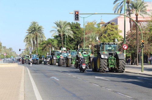 Nuevas manifestaciones mañana del sector agrario murciano y el día 25 del andaluz