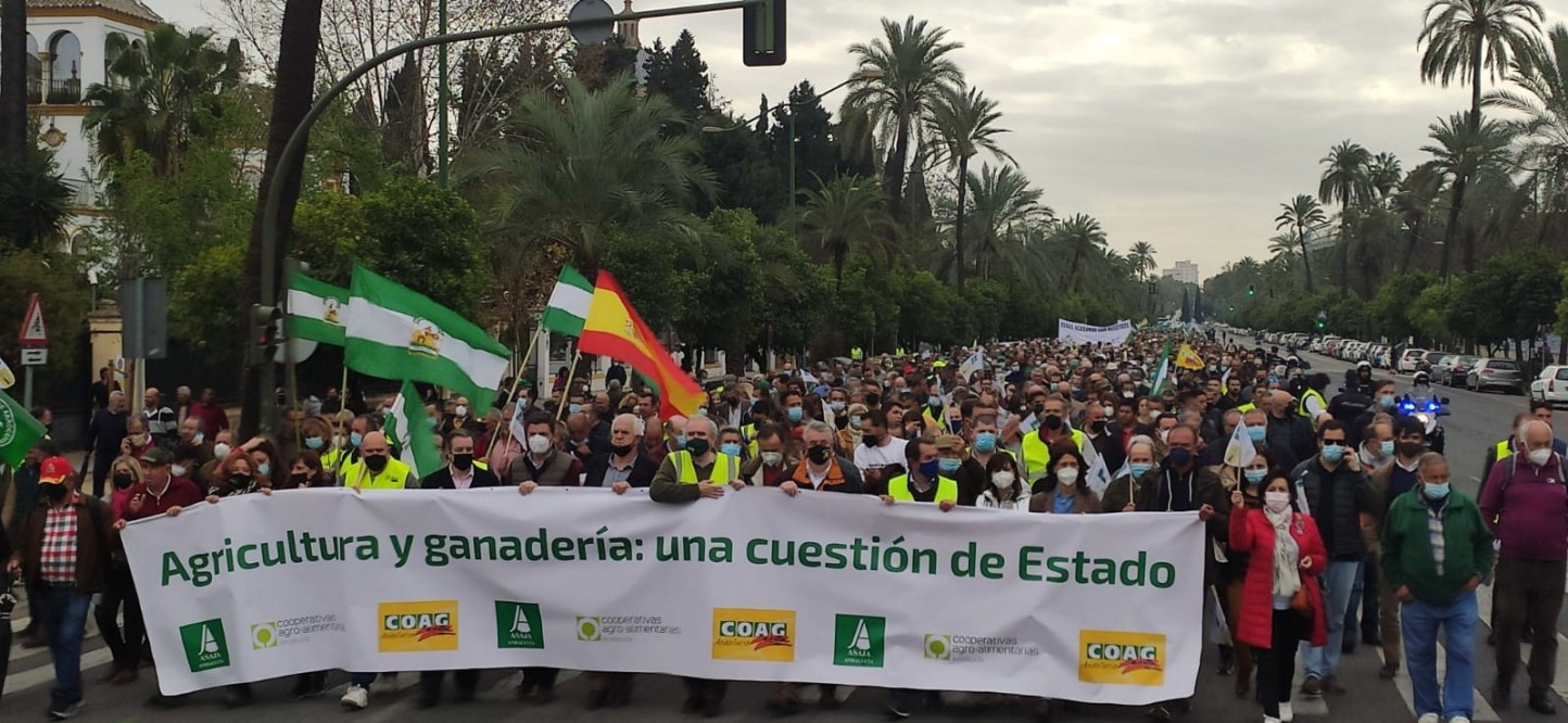 El campo vuelve a protestar y manifestarse en Andalucía, Comunidad Valenciana y Castilla y León este 25-F