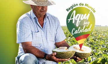 Agricultores y empresas murcianas planifican la campaña de melón y sandía solicitando garantías a clientes