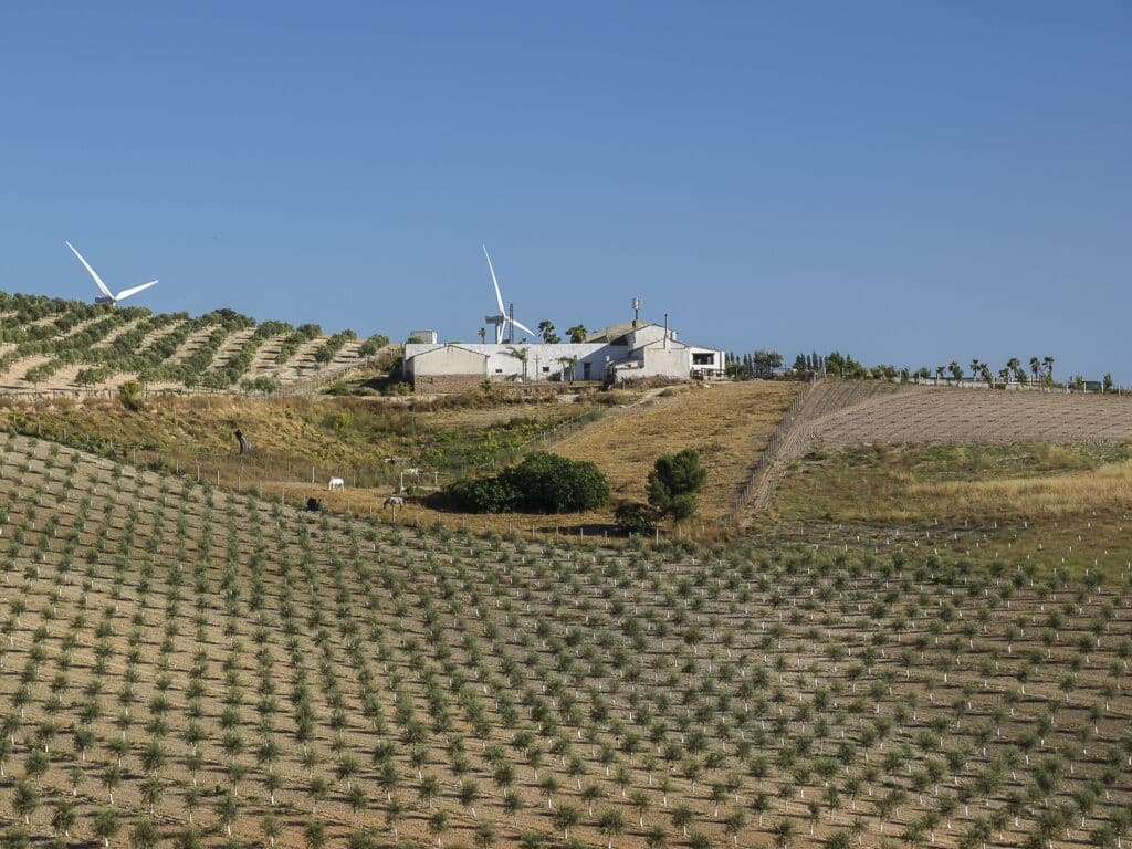 Primer Informe Cocampo: el futuro del agro depende de una mayor dinamización del mercado de la tierra