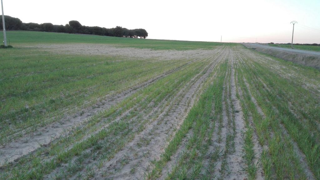 Alerta por sequía en la mitad del campo y los regantes piden que se invierta en obras de regulación del agua