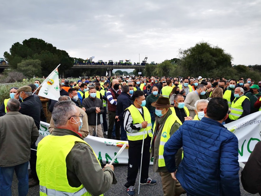 Agricultores y ganaderos sevillanos cortan la AP-4 para reclamar una PAC más justa