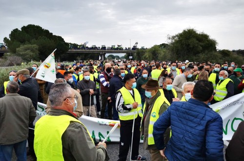 Agricultores y ganaderos sevillanos cortan la AP-4 para reclamar una PAC más justa