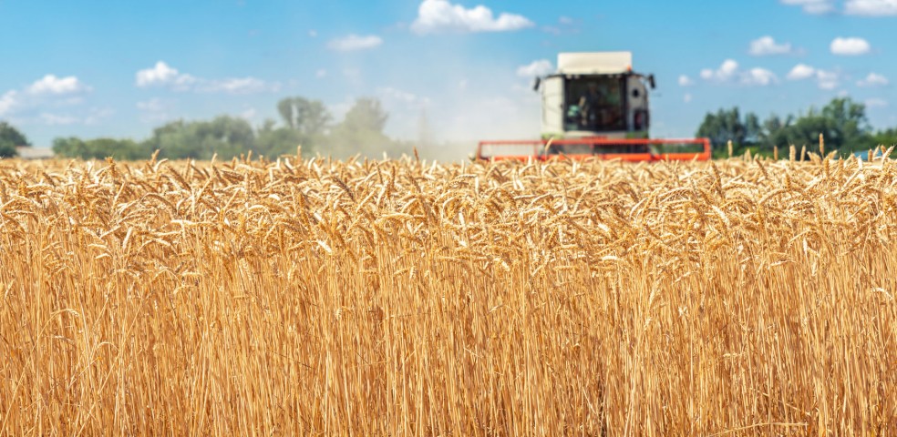 agricultura_agricultor_cereales
