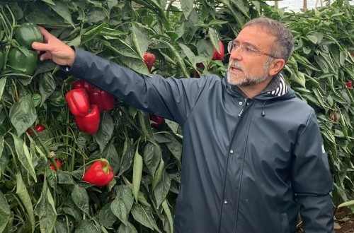 XStress y CalFlux, las soluciones de Ecoculture a los problemas de estrés ambiental