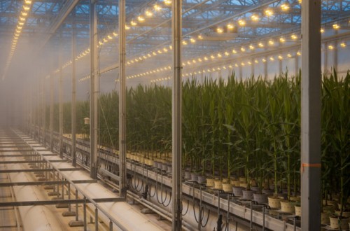 Bayer abre una ventana al futuro de la agricultura a través de su porfolio de proyectos de I+D