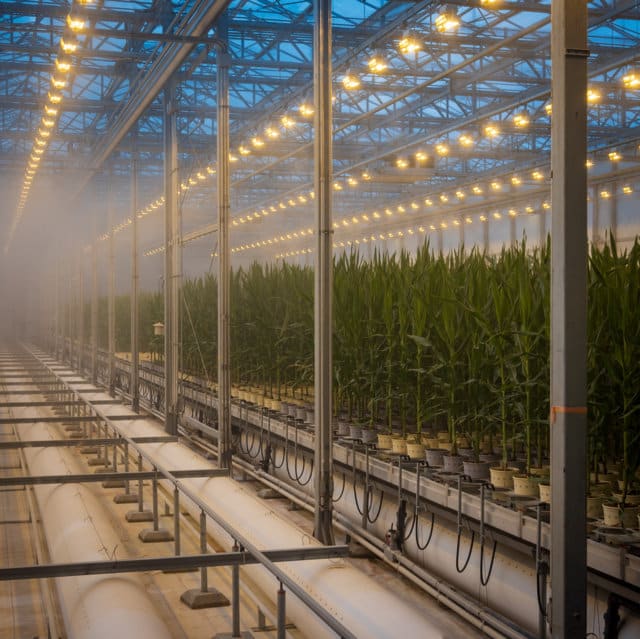 Bayer abre una ventana al futuro de la agricultura a través de su porfolio de proyectos de I+D