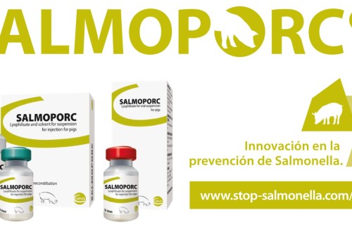 Ceva Salud Animal lanza Salmoporc
